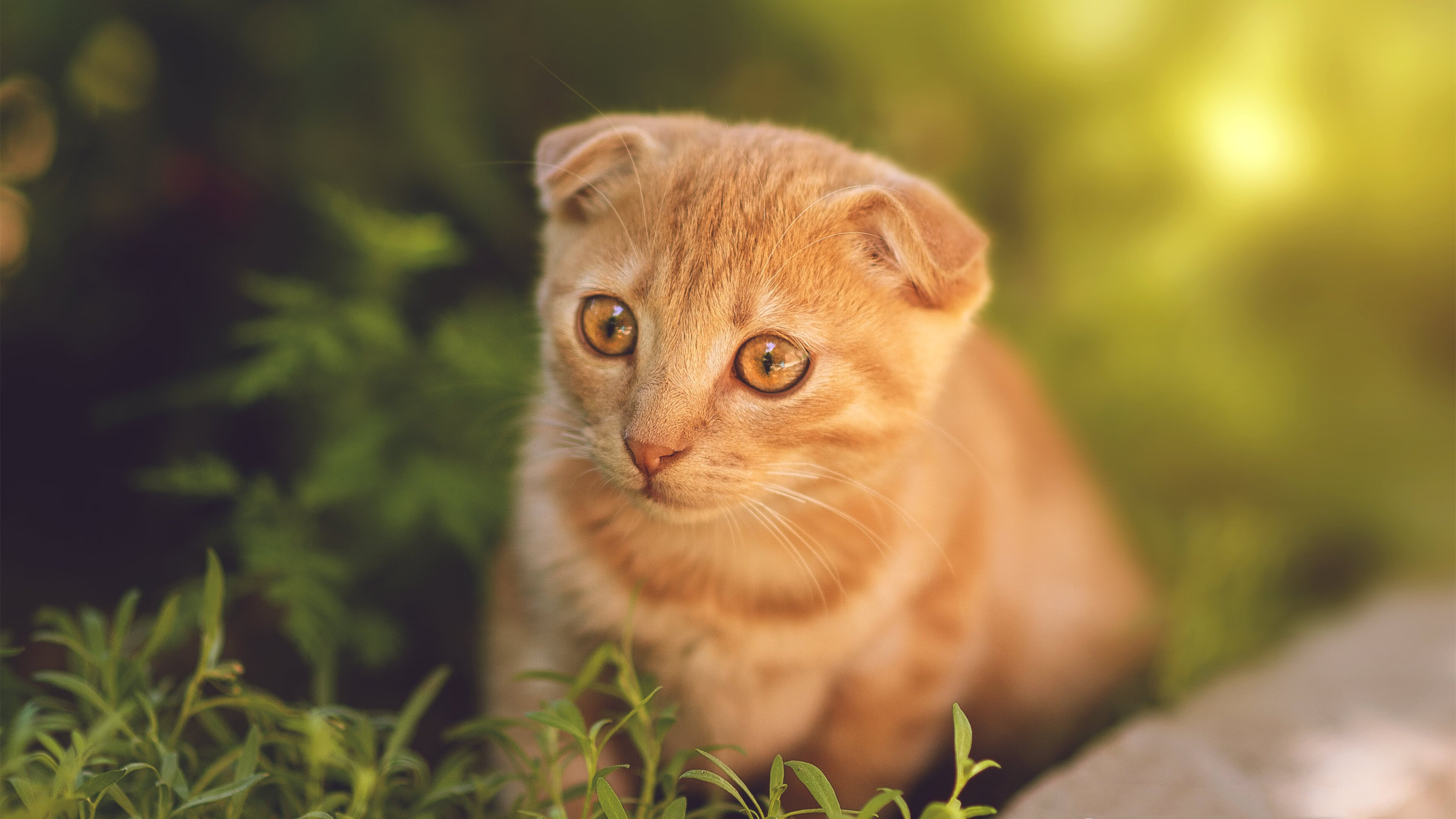 VALORANT 新赛季战术趋势明显,valorant玩法