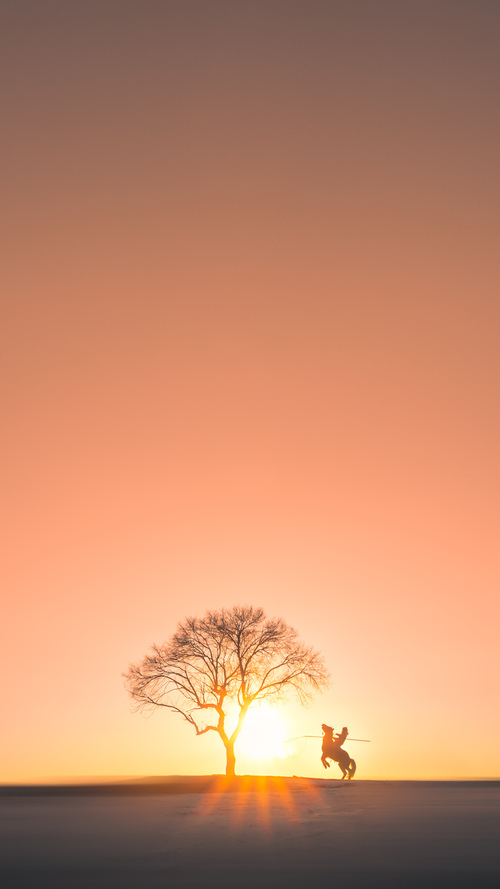 kaiyun开云·官方网站-NBA官方公布：未来五年关键发展战略细节，未来的nba巨星