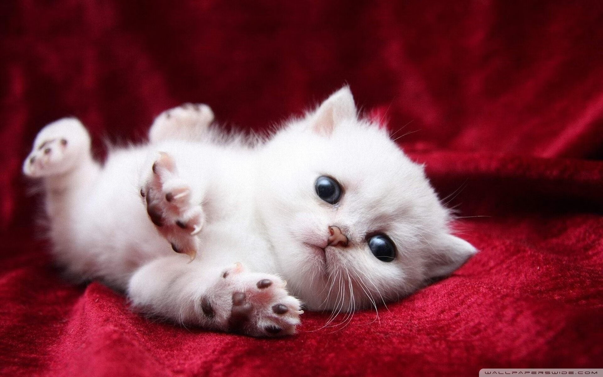 kaiyun官方网站-“青少年足球公益赛事在全国范围内热闹开启，普及足球运动”，2021青少年足球比赛报名