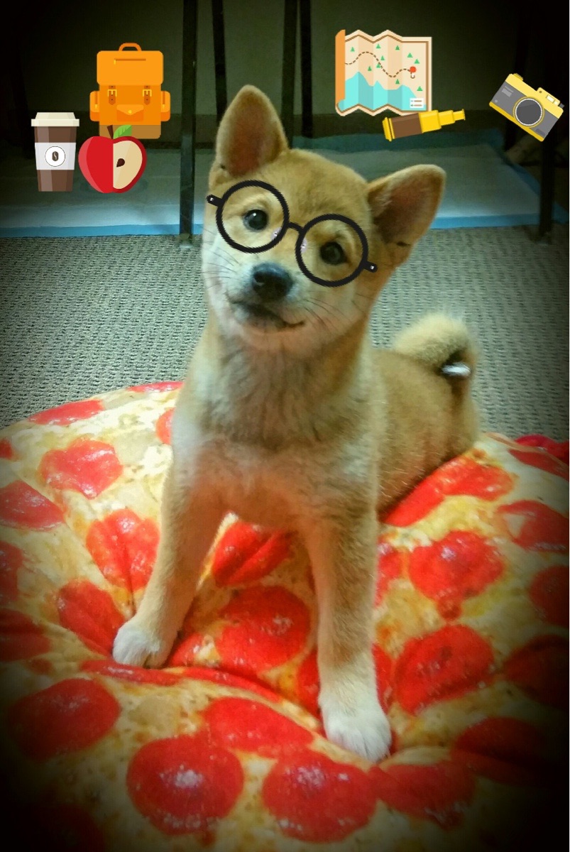 【比赛现场】运动员自我调节战术应对突发情况,运动员调节情绪的方法