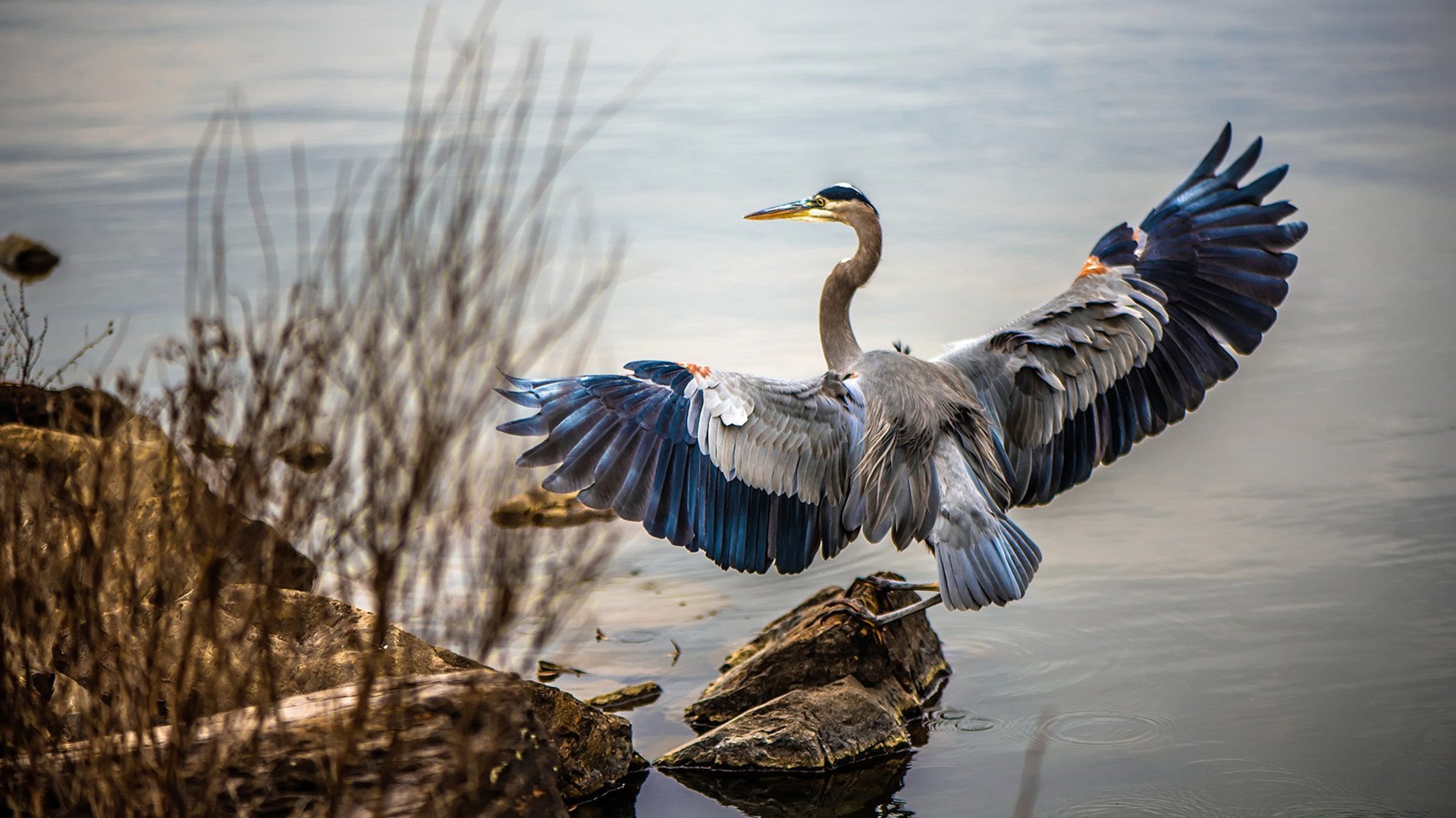 全国青少年“篮球文化节”在武汉盛大开启，推广体育精神同时融合文化魅力