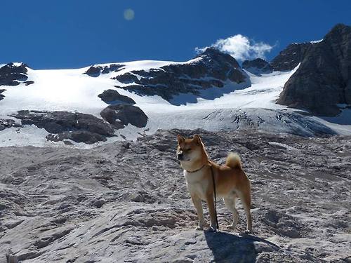 德国马术队在2024年国际马术联合会障碍赛世界巡回赛中获得团体第六名,展现出色表现。