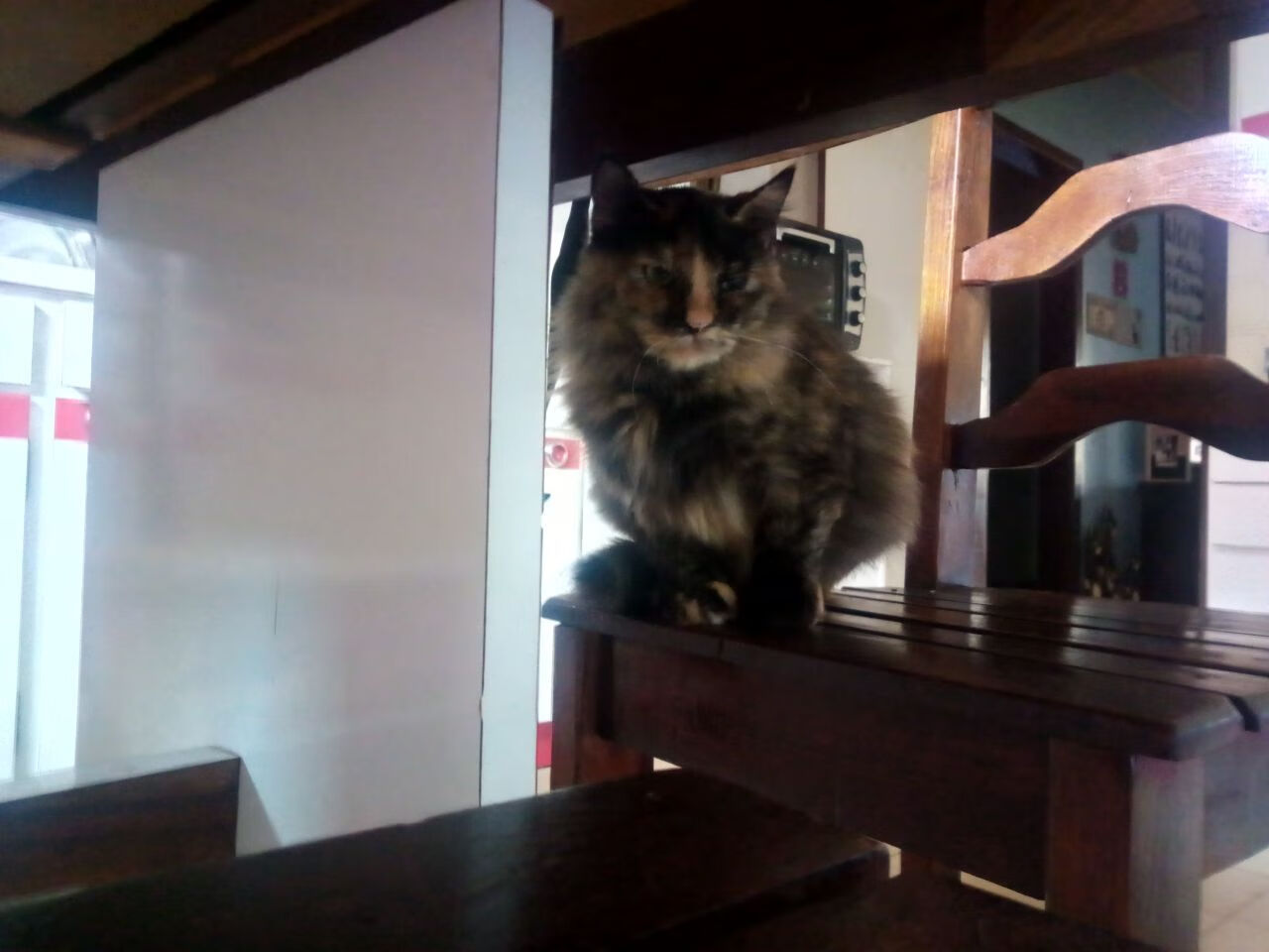 开云体育-比赛总结：细节决定成败，团队合作最关键！，注重细节的团队例子