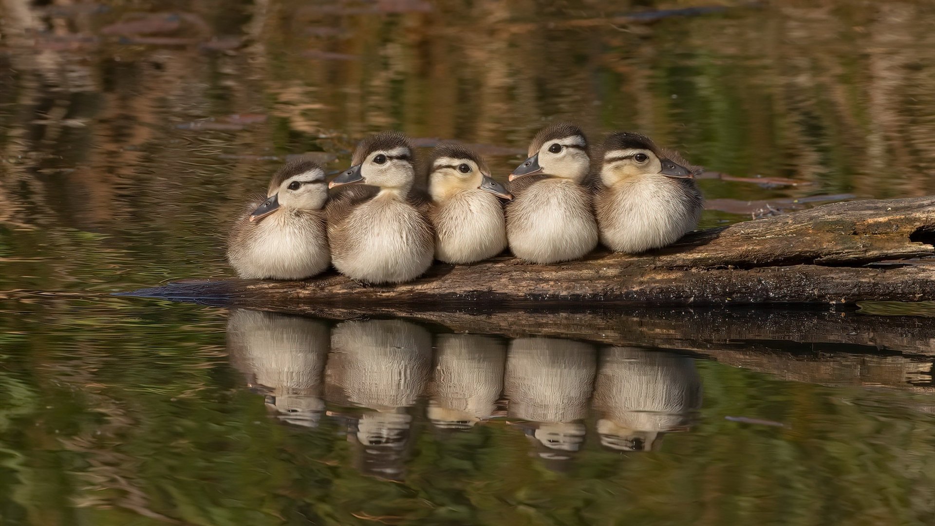 山东高速 新星表现惊艳,山东高速新项目
