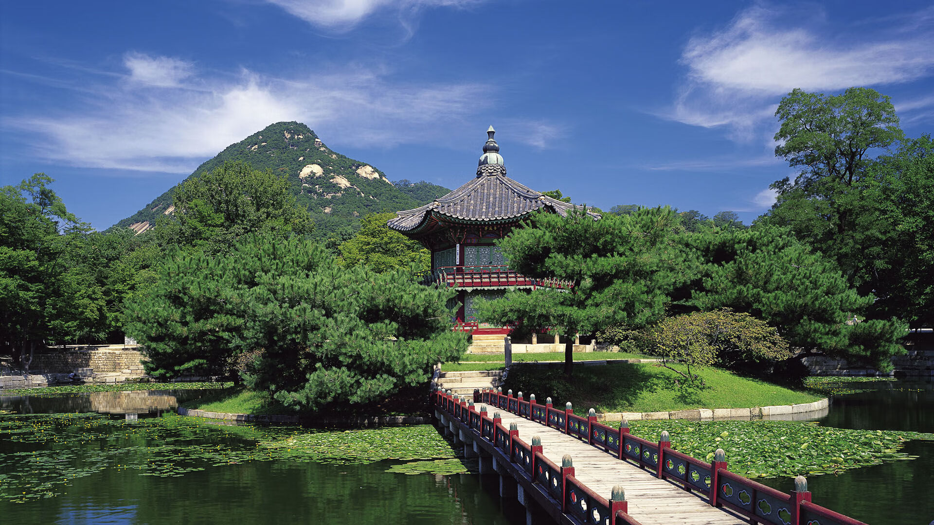 kaiyun登录入口-火箭年轻球员三分命中率惊人，火箭年轻球员三分命中率惊人的原因