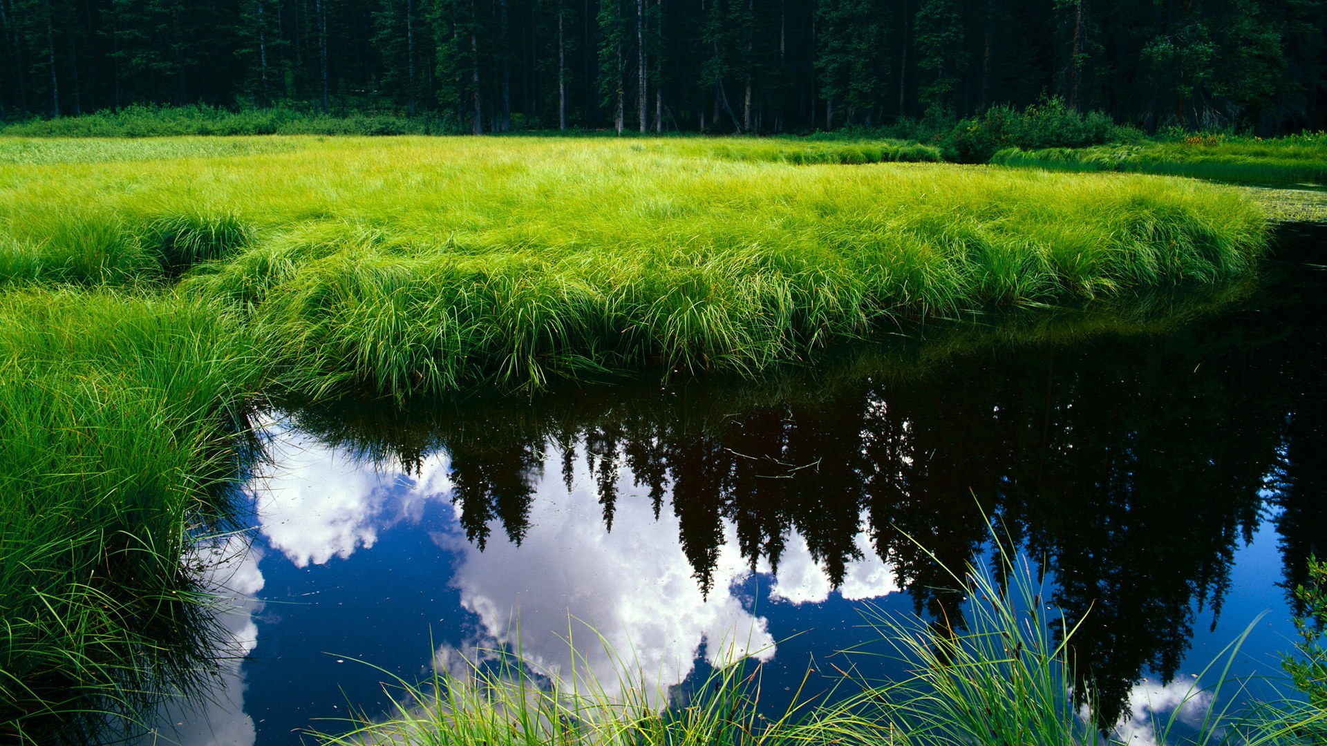 开云网页版登录入口-里昂夺回胜利，士气高昂迎接面对尼斯，里昂2021