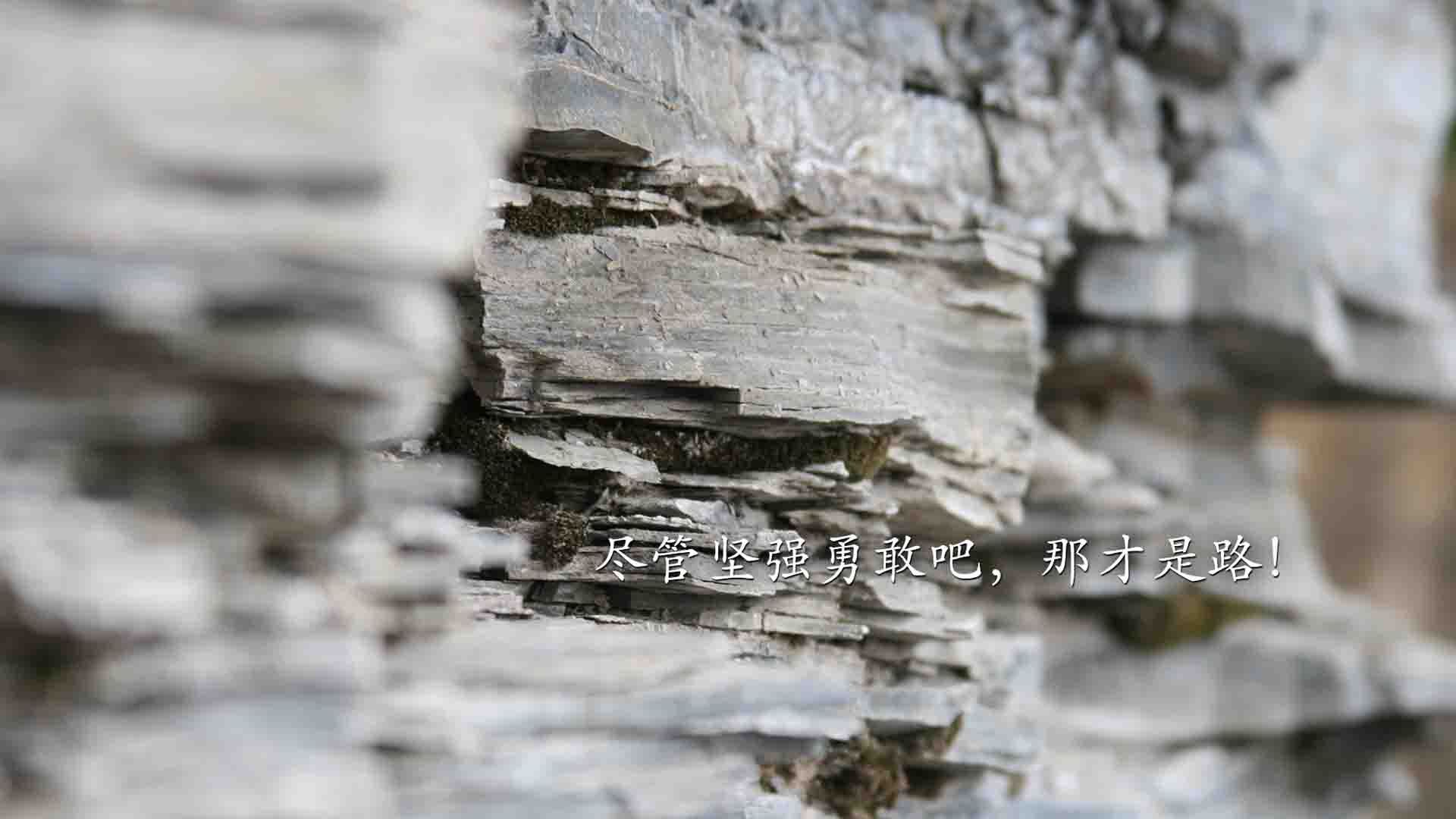 开云·Kaiyun网页版-德甲主教练更替对球队战术稳定性影响，德甲各队主教练