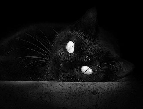 kaiyun官方网站-“Cole Palmer梅开二度，世界杯决赛之夜封神”