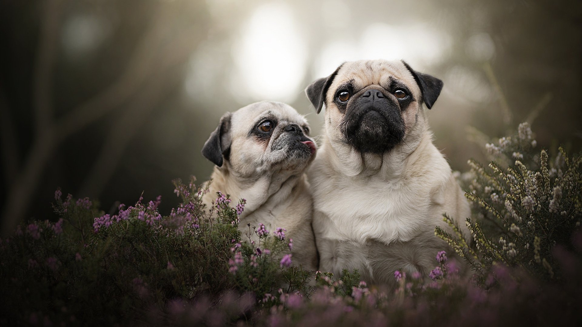 开云中国大陆-国足集训名单公布 多名新人入选，国足集训大名单