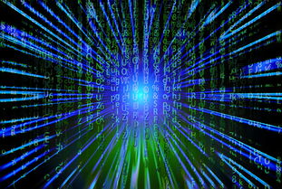 Kaiyun(中国)开云-新加坡队未来之路：如何在全球乒乓赛事中争夺更多荣誉，新加坡乒乓球厉害吗