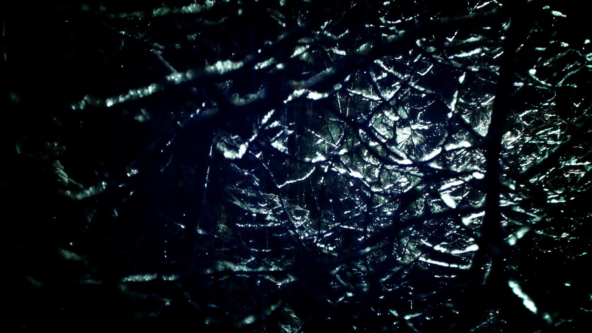 Kaiyun官方登录入口-美洲杯明星助阵：激情燃烧，精彩纷呈！，美洲杯角色